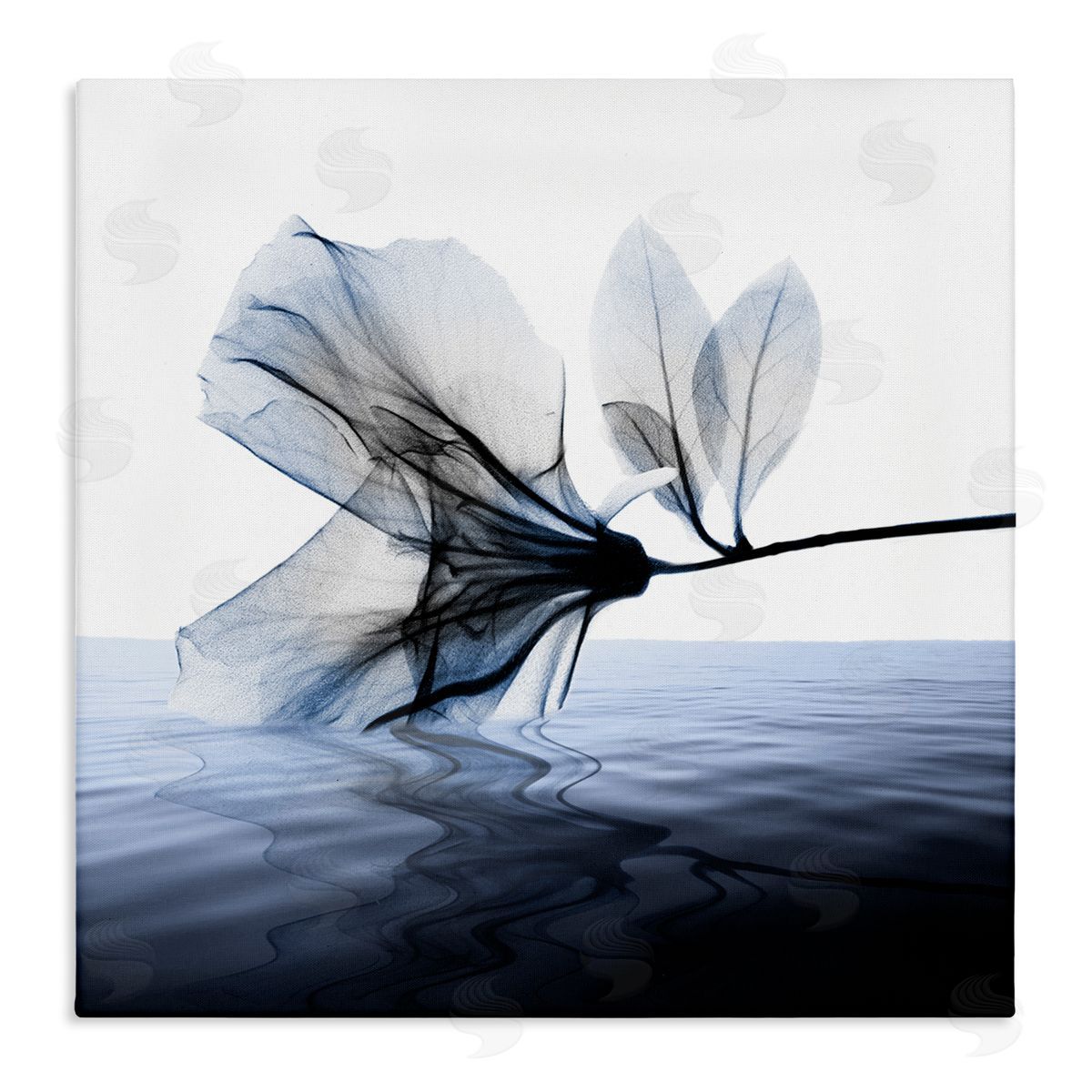 Albert Koetsier Flower Touching Water Blue Photograph Canvas Wall Art