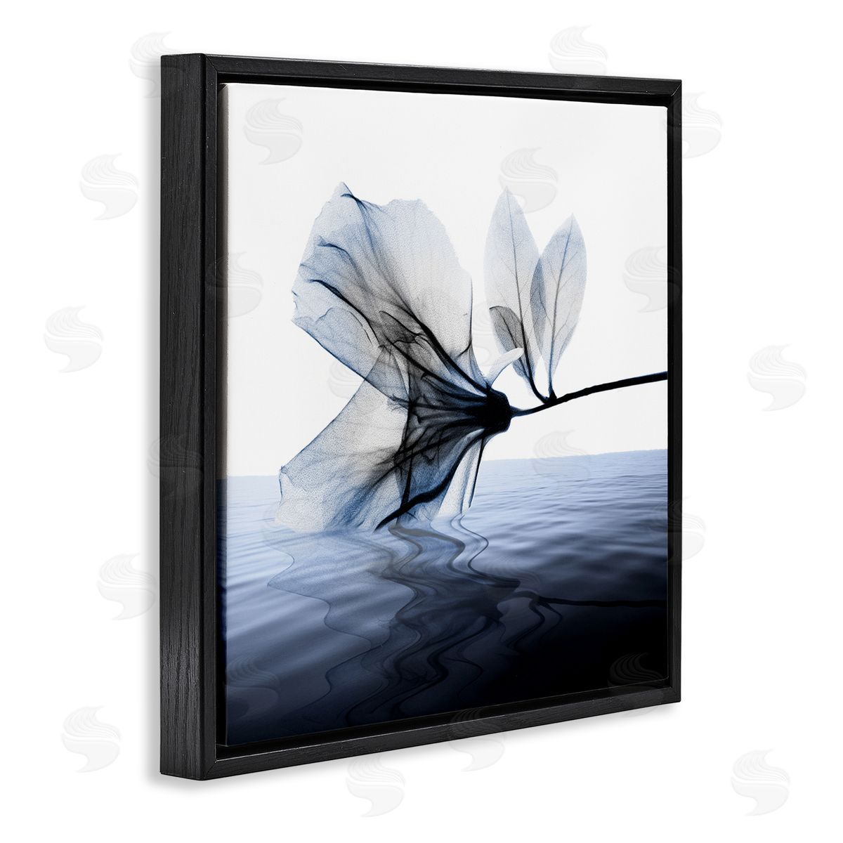 Albert Koetsier Flower Touching Water Blue Photograph Black Floater Frame Canvas Art