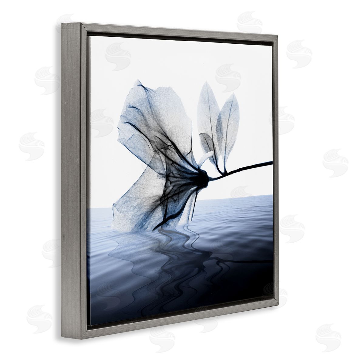 Albert Koetsier Flower Touching Water Blue Photograph Gray Floater Frame Canvas Art