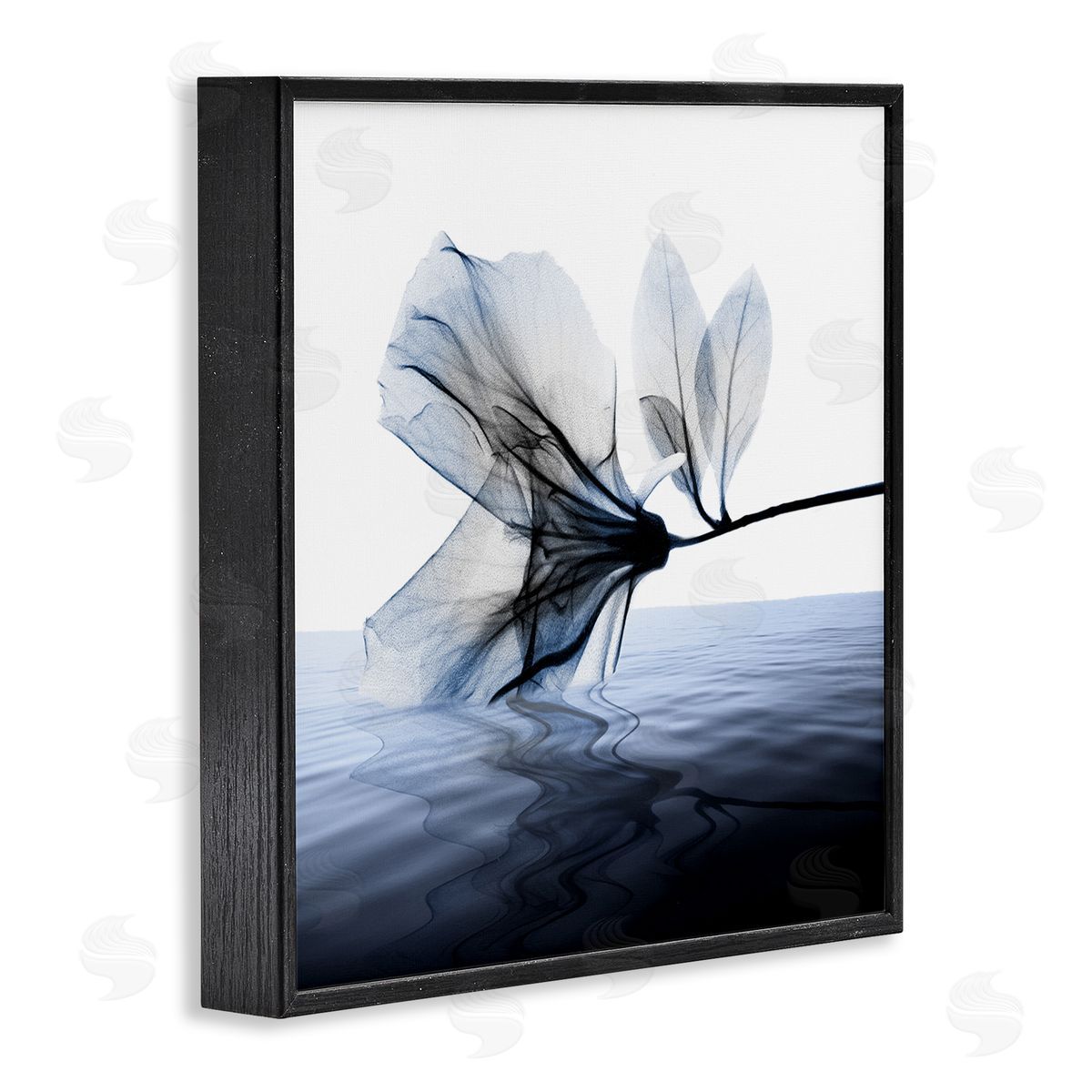 Albert Koetsier Flower Touching Water Blue Photograph Black Framed Giclee Wall Art