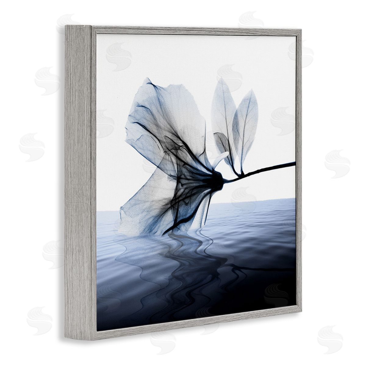 Albert Koetsier Flower Touching Water Blue Photograph Gray Framed Giclee Wall Art
