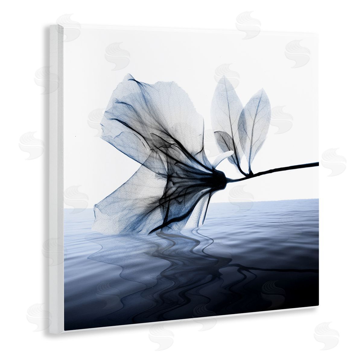 Albert Koetsier Flower Touching Water Blue Photograph Wall Plaque Art