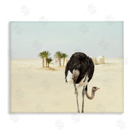 Ziwei Li | Desert Ostrich Sand Landscape