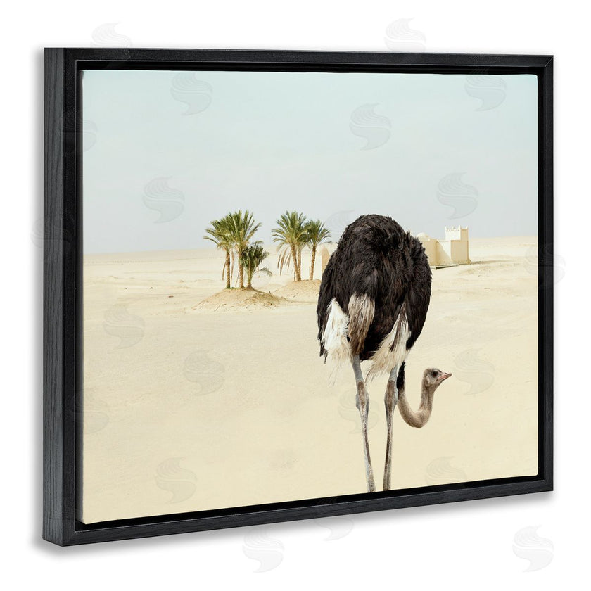 Ziwei Li | Desert Ostrich Sand Landscape