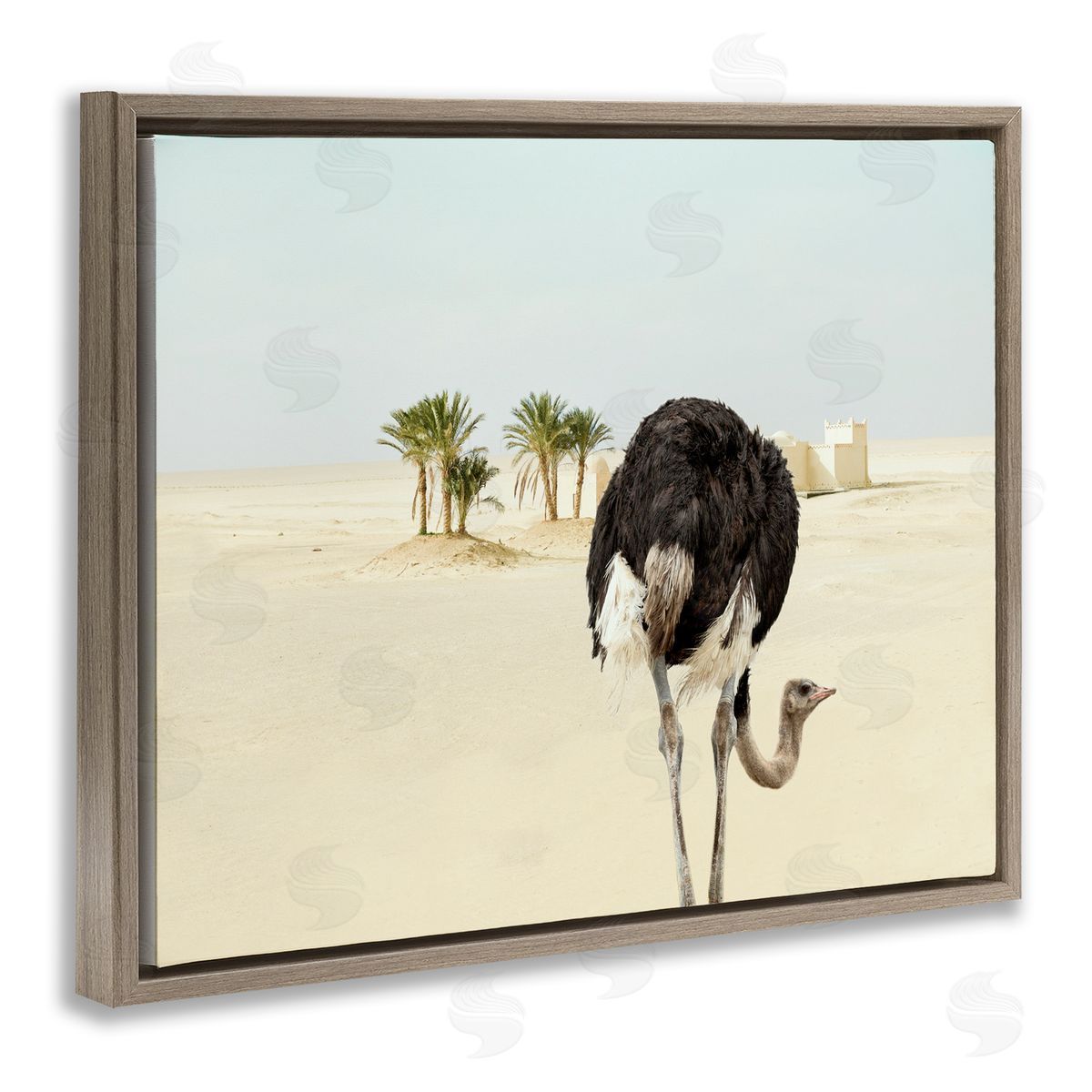 Ziwei Li Desert Ostrich Sand Landscape Brown Floater Frame Canvas Art