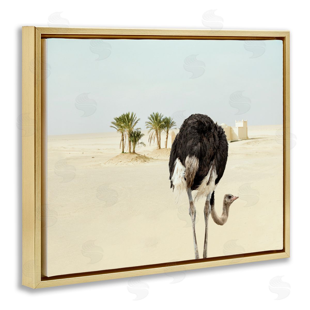 Ziwei Li Desert Ostrich Sand Landscape Gold Floater Frame Canvas Art