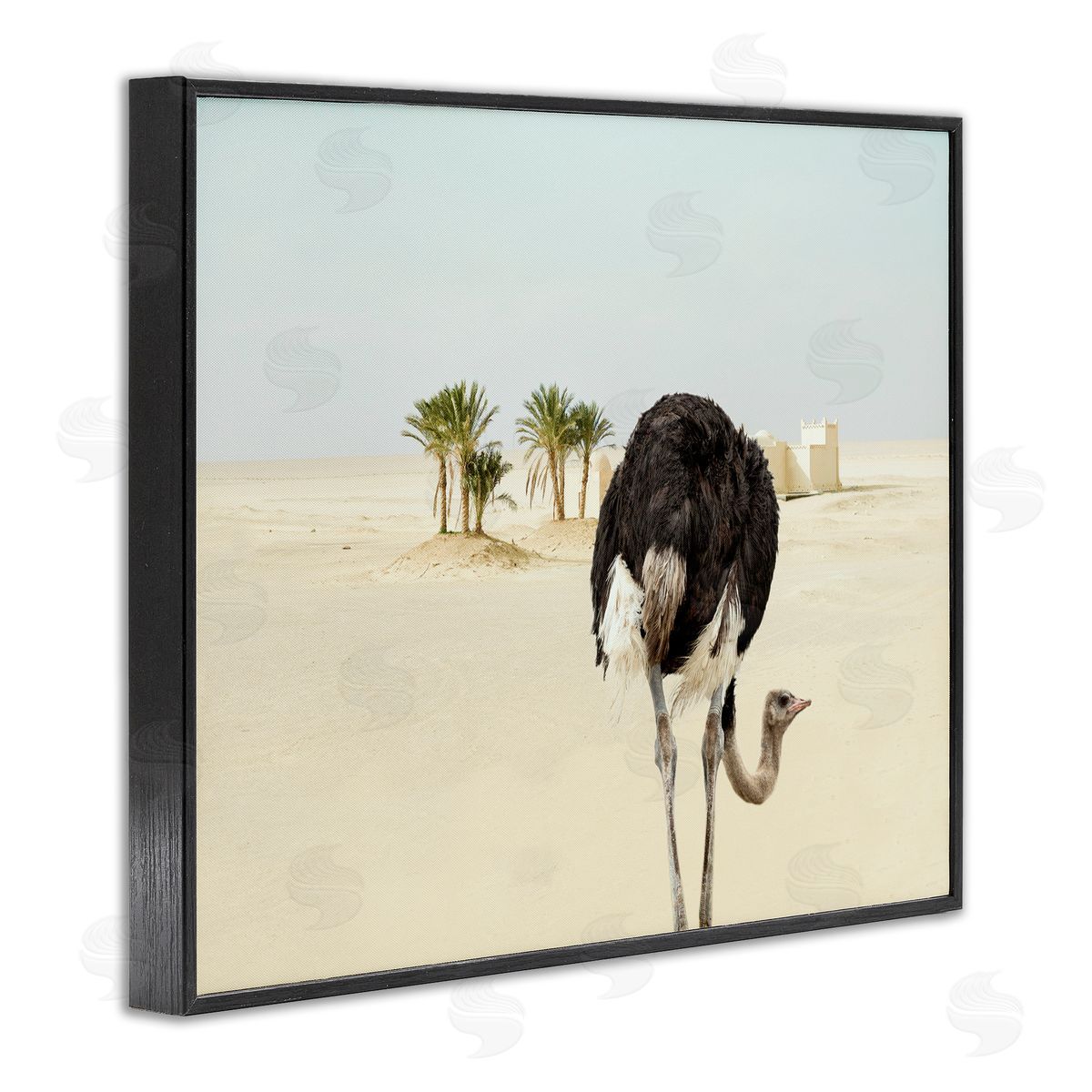 Ziwei Li Desert Ostrich Sand Landscape Black Framed Giclee Wall Art