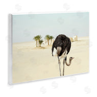 Ziwei Li | Desert Ostrich Sand Landscape
