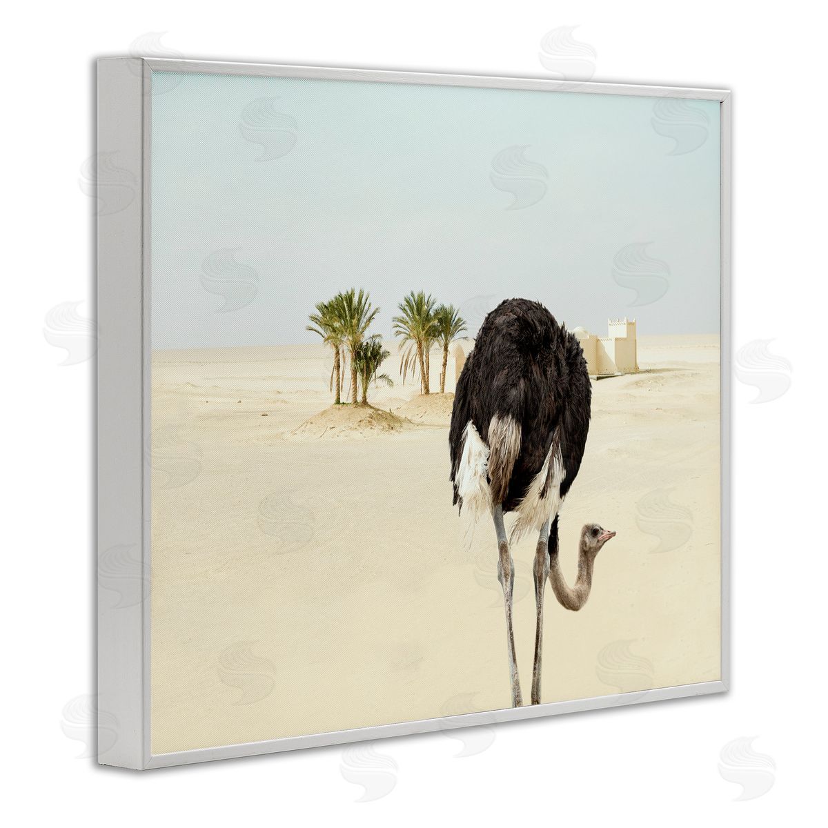 Ziwei Li Desert Ostrich Sand Landscape White Framed Giclee Wall Art