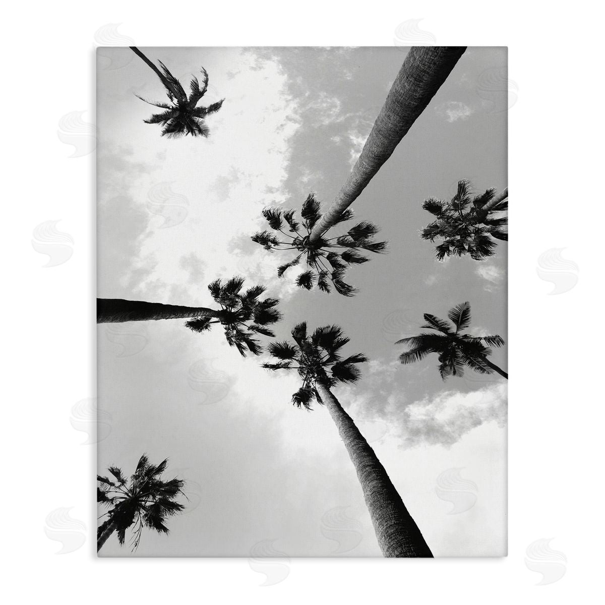 Ziwei Li Black and White Sky Through Palms Canvas Wall Art