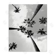 Ziwei Li | Black and White Sky Through Palms