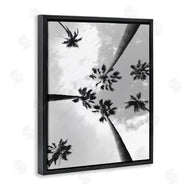 Ziwei Li | Black and White Sky Through Palms