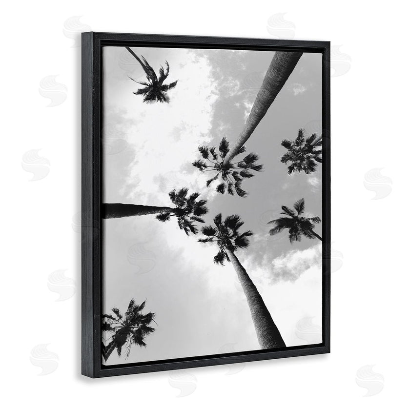 Ziwei Li | Black and White Sky Through Palms