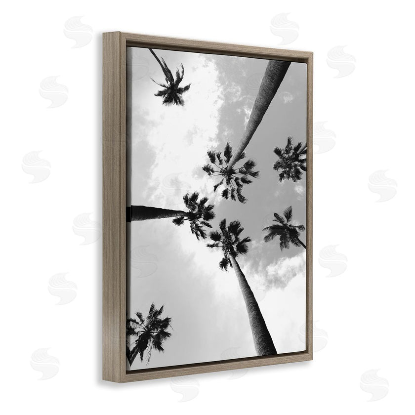 Ziwei Li | Black and White Sky Through Palms