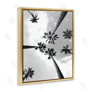 Ziwei Li | Black and White Sky Through Palms