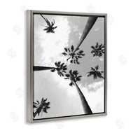 Ziwei Li | Black and White Sky Through Palms