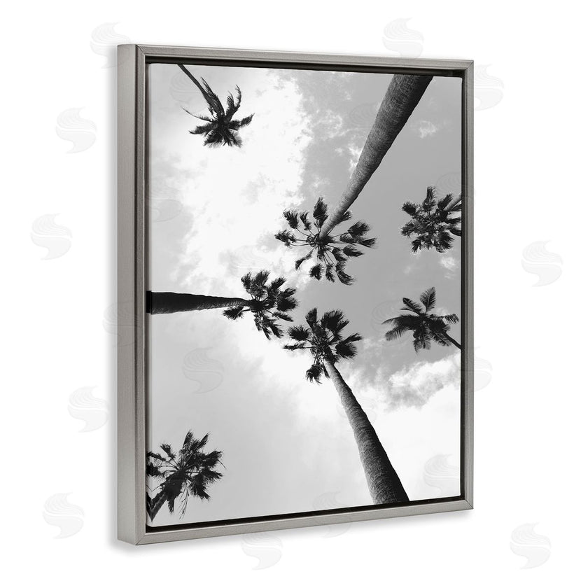 Ziwei Li | Black and White Sky Through Palms