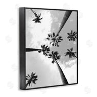Ziwei Li | Black and White Sky Through Palms