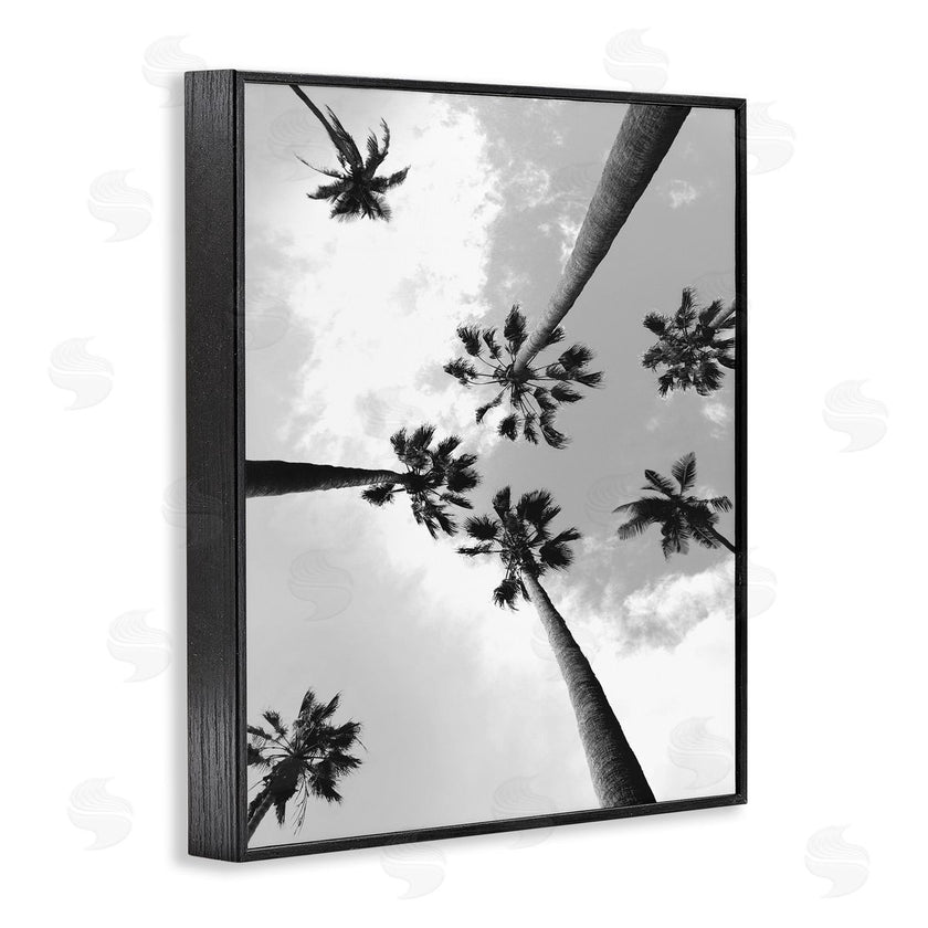 Ziwei Li | Black and White Sky Through Palms