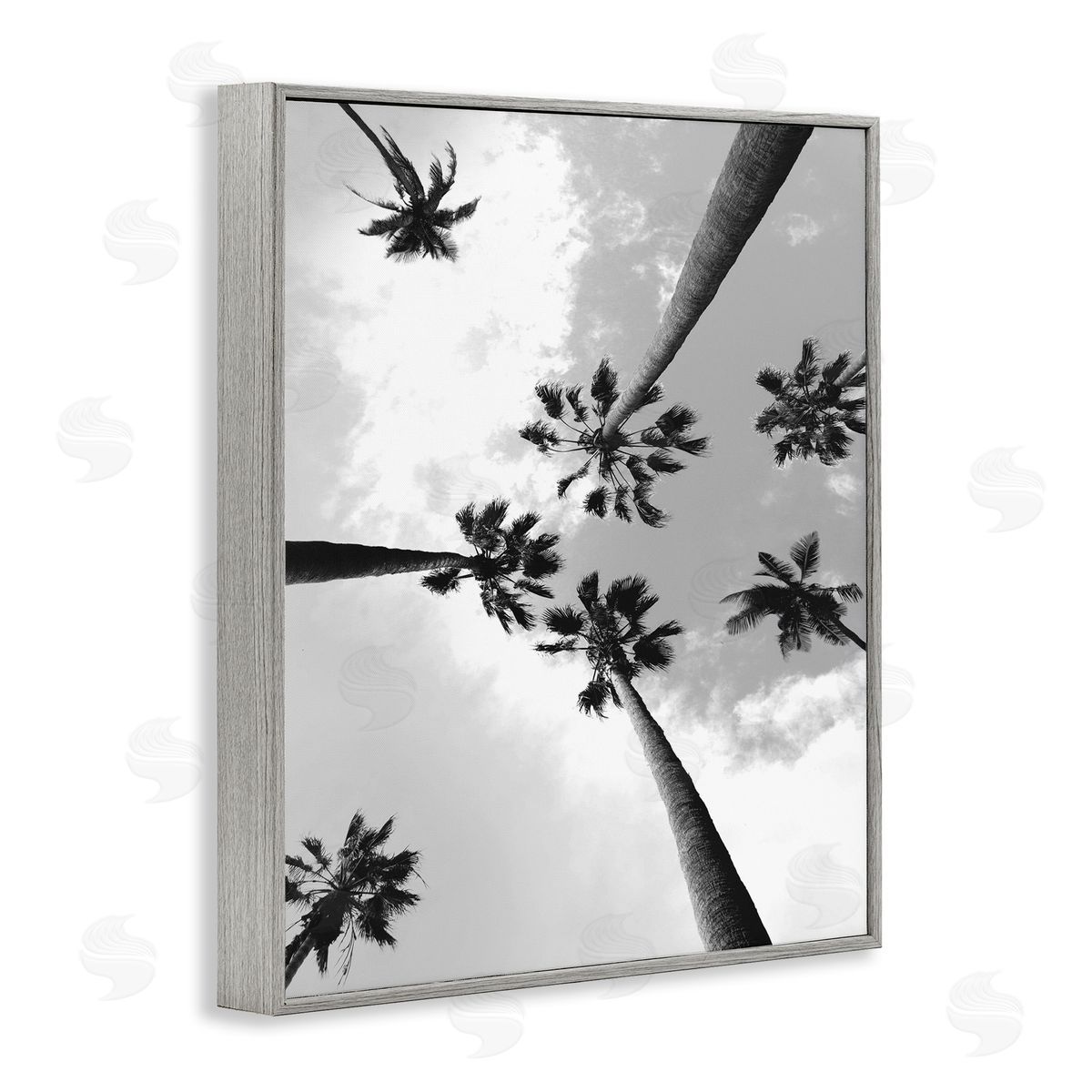 Ziwei Li Black and White Sky Through Palms Gray Framed Giclee Wall Art