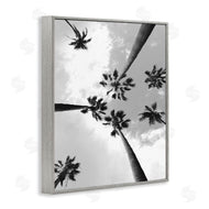 Ziwei Li | Black and White Sky Through Palms