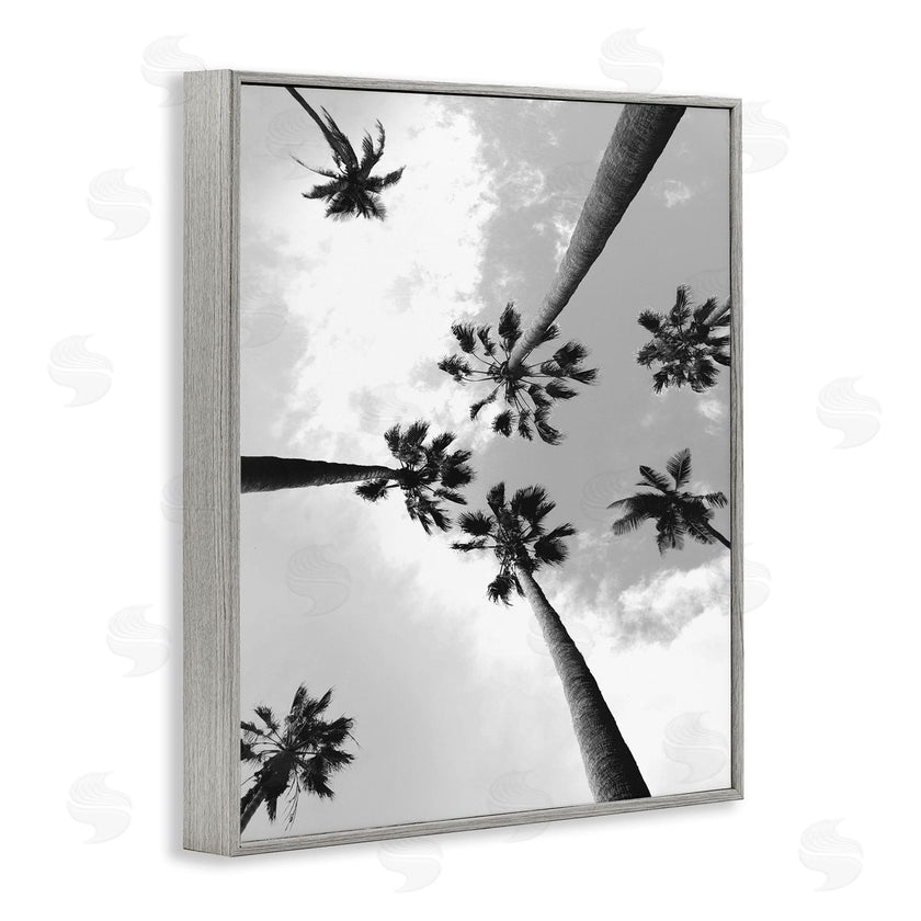 Ziwei Li | Black and White Sky Through Palms