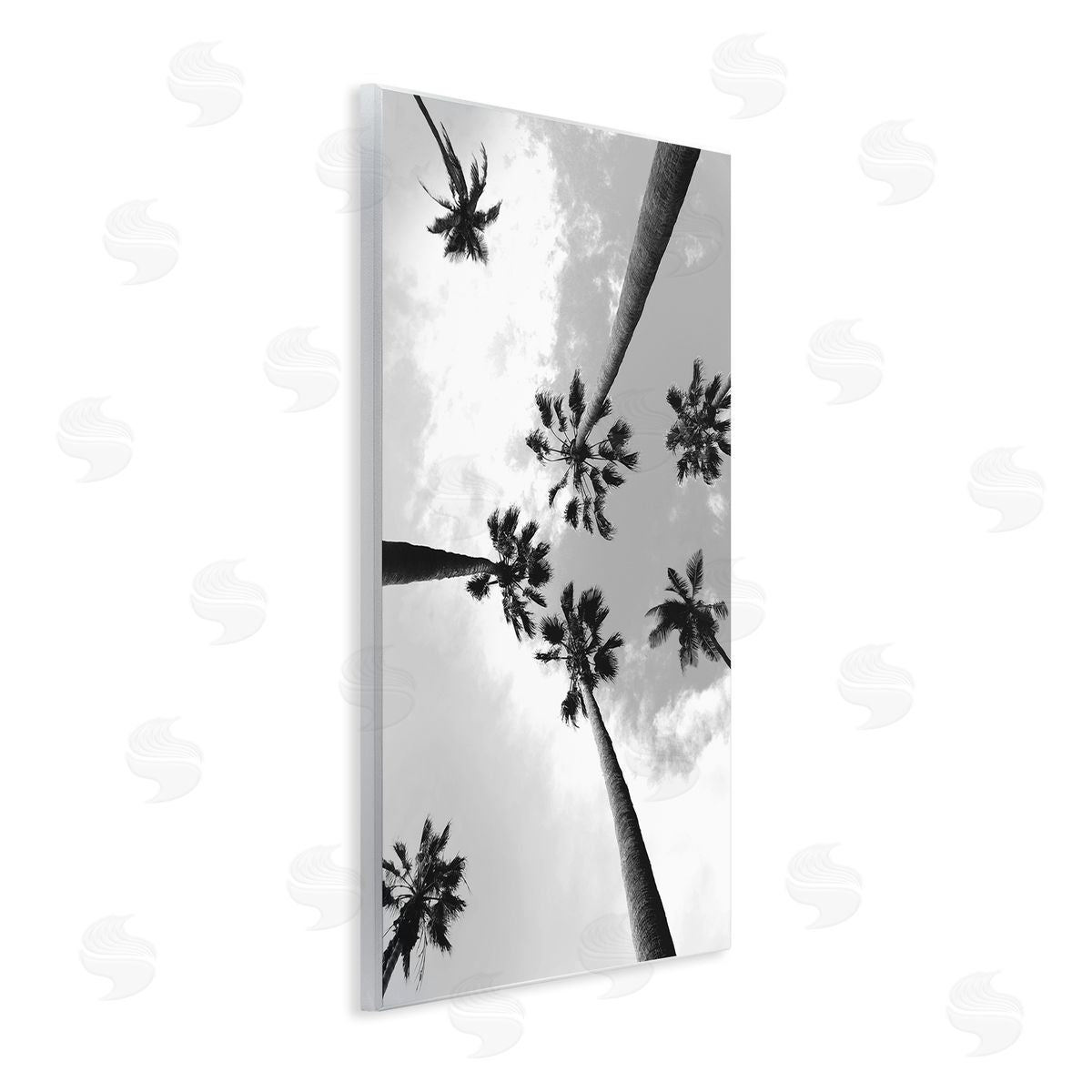 Ziwei Li Black and White Sky Through Palms Wall Plaque Art