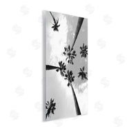 Ziwei Li | Black and White Sky Through Palms