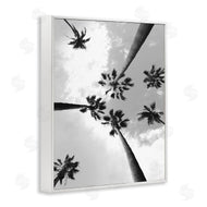 Ziwei Li | Black and White Sky Through Palms