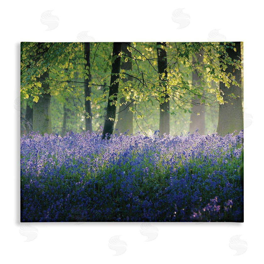 Adelino Goncalves | Floral Lavender Field Morning Light