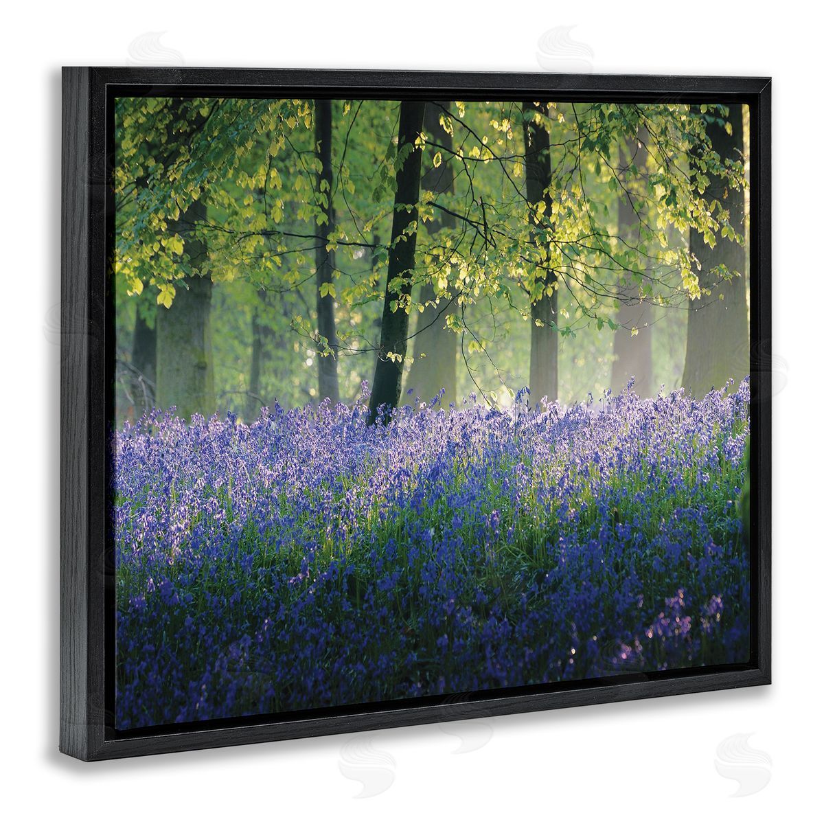 Adelino Goncalves Floral Lavender Field Morning Light  Black Floater Frame Canvas Art