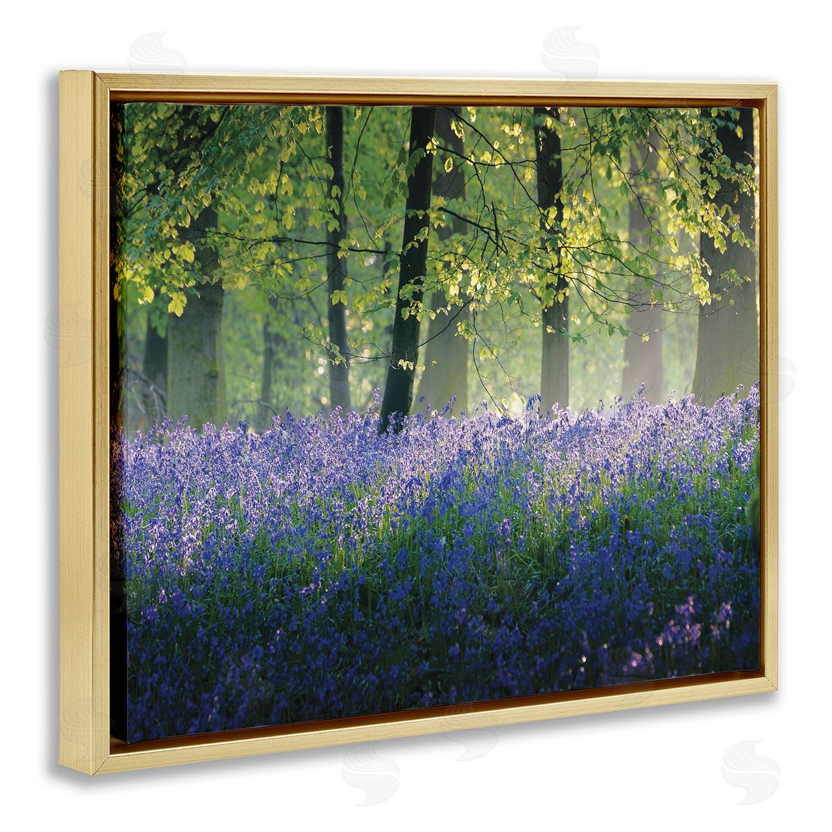 Adelino Goncalves Floral Lavender Field Morning Light  Gold Floater Frame Canvas Art