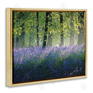 Adelino Goncalves | Floral Lavender Field Morning Light