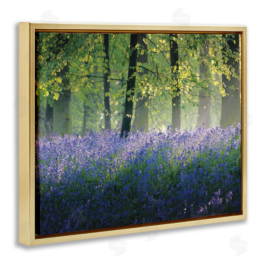 Adelino Goncalves | Floral Lavender Field Morning Light