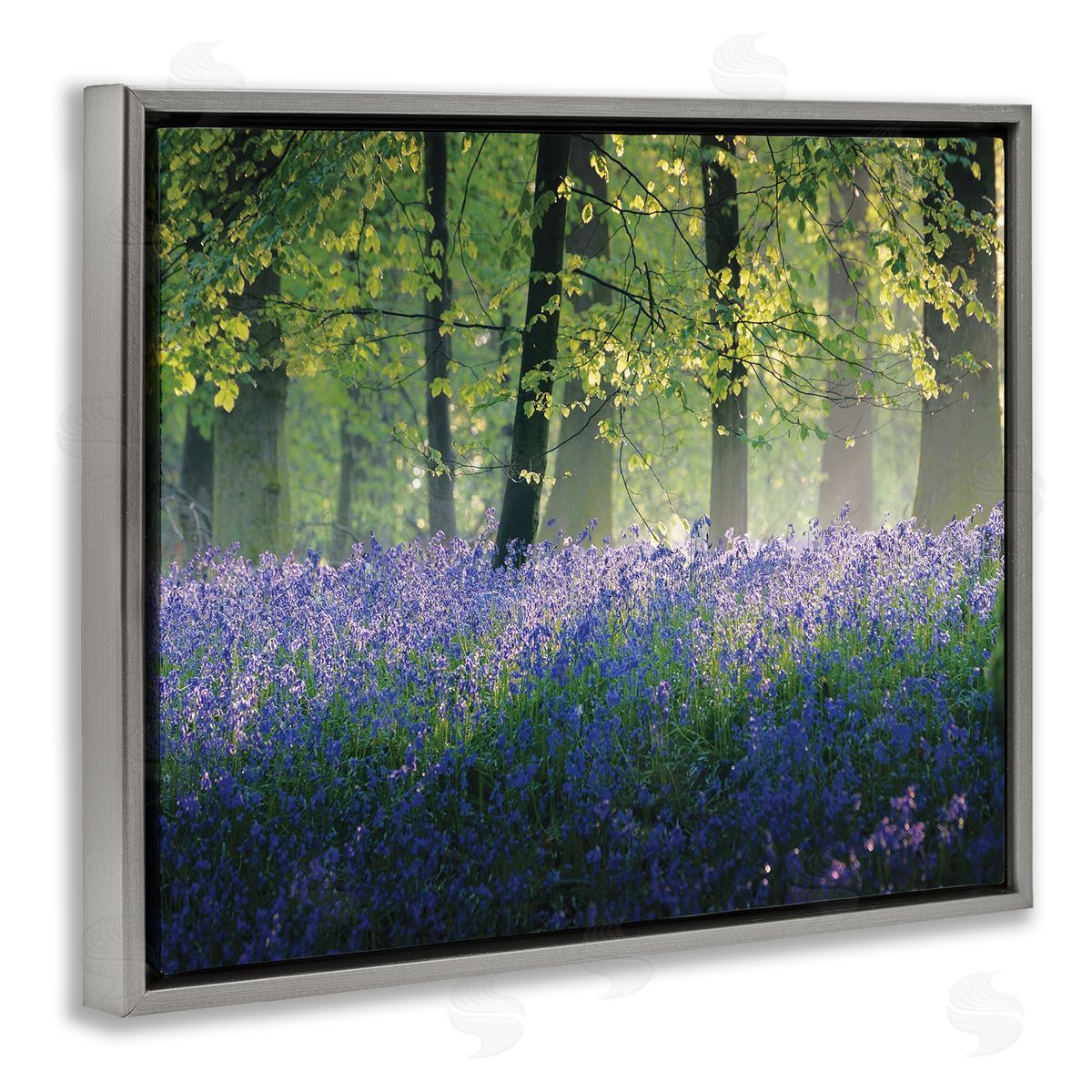 Adelino Goncalves Floral Lavender Field Morning Light  Gray Floater Frame Canvas Art