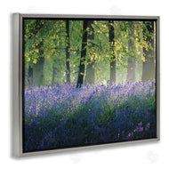 Adelino Goncalves | Floral Lavender Field Morning Light