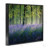 Adelino Goncalves | Floral Lavender Field Morning Light