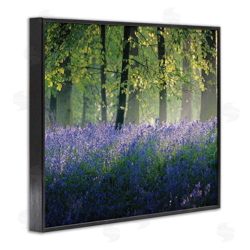 Adelino Goncalves | Floral Lavender Field Morning Light