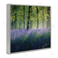 Adelino Goncalves | Floral Lavender Field Morning Light