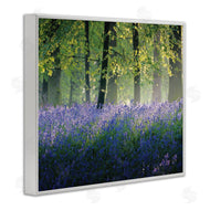 Adelino Goncalves | Floral Lavender Field Morning Light