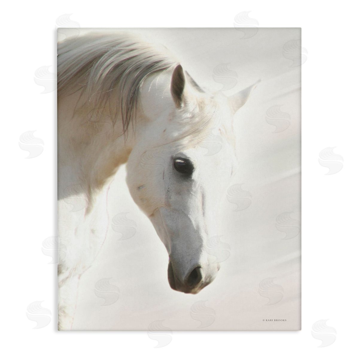 Kari Brooks White Stallion Portrait Southwestern Horse Canvas Wall Art