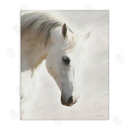 Kari Brooks | White Stallion Portrait Southwestern Horse