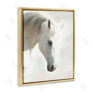 Kari Brooks | White Stallion Portrait Southwestern Horse