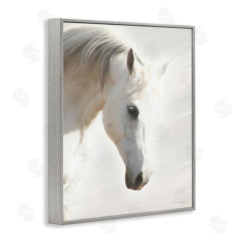 Kari Brooks | White Stallion Portrait Southwestern Horse