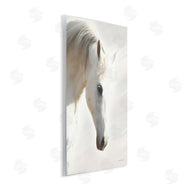 Kari Brooks | White Stallion Portrait Southwestern Horse