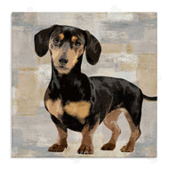 Keri Rodgers | Dachshund Dog Portrait Neutral Patchwork