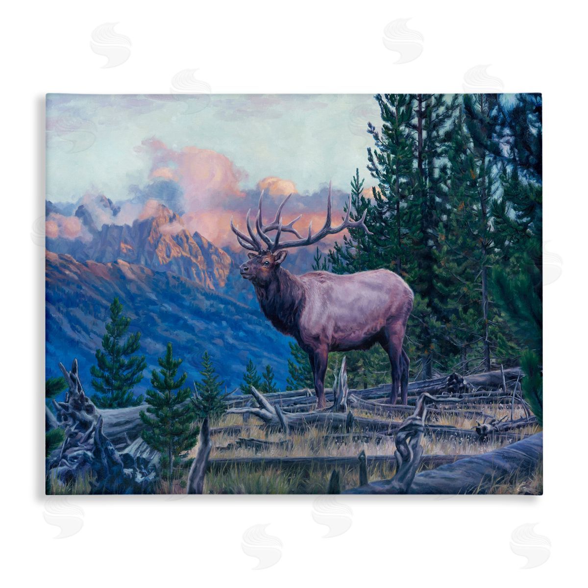 David Graham Elk Forest Mountain Morning Animal Canvas Wall Art