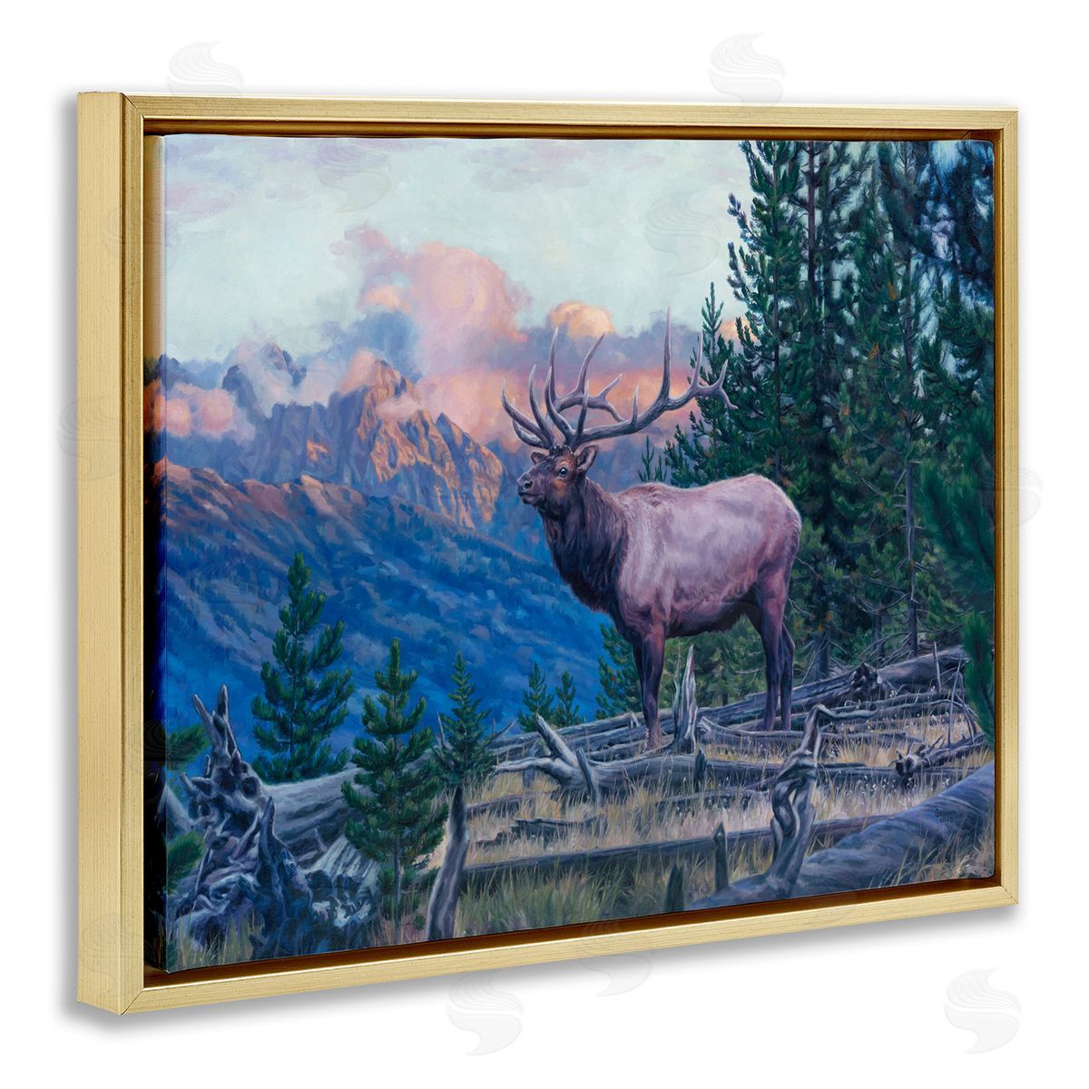 David Graham Elk Forest Mountain Morning Animal Gold Floater Frame Canvas Art