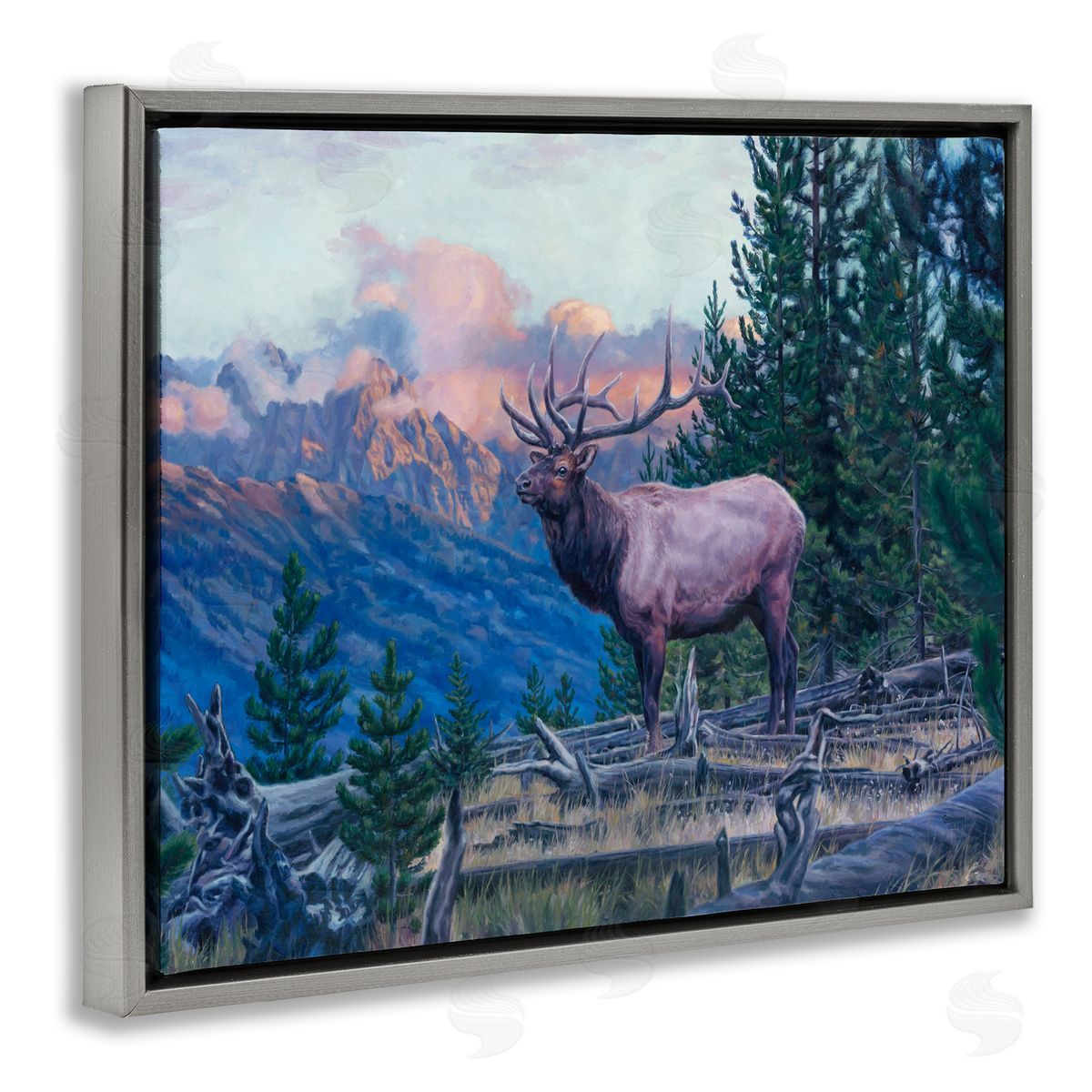 David Graham Elk Forest Mountain Morning Animal Gray Floater Frame Canvas Art