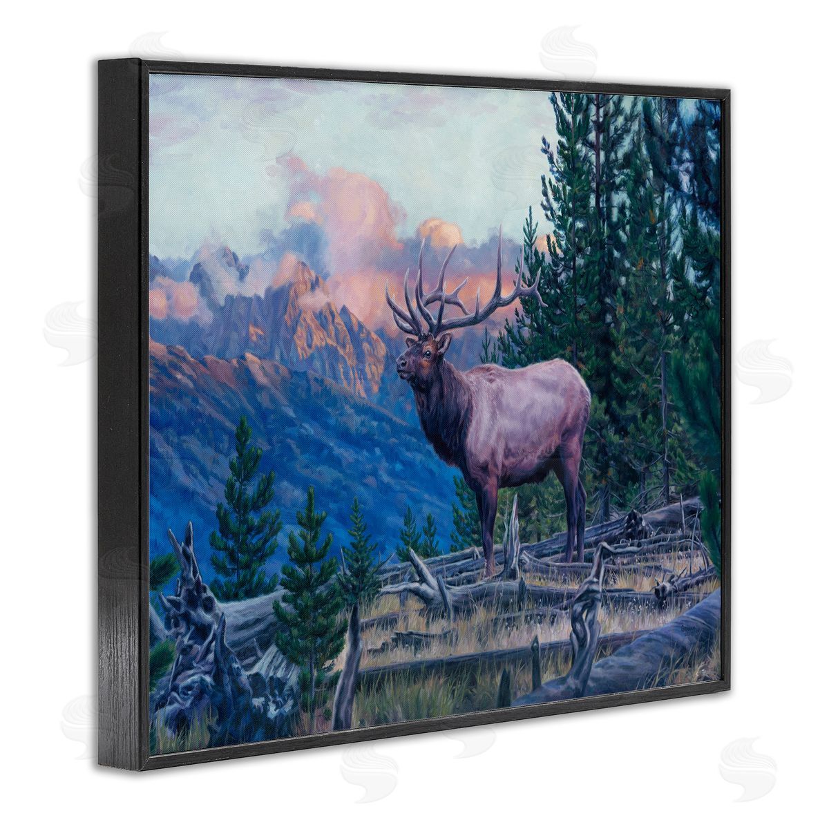 David Graham Elk Forest Mountain Morning Animal Black Framed Giclee Wall Art